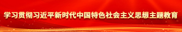 鸡鸡抽查逼视频学习贯彻习近平新时代中国特色社会主义思想主题教育